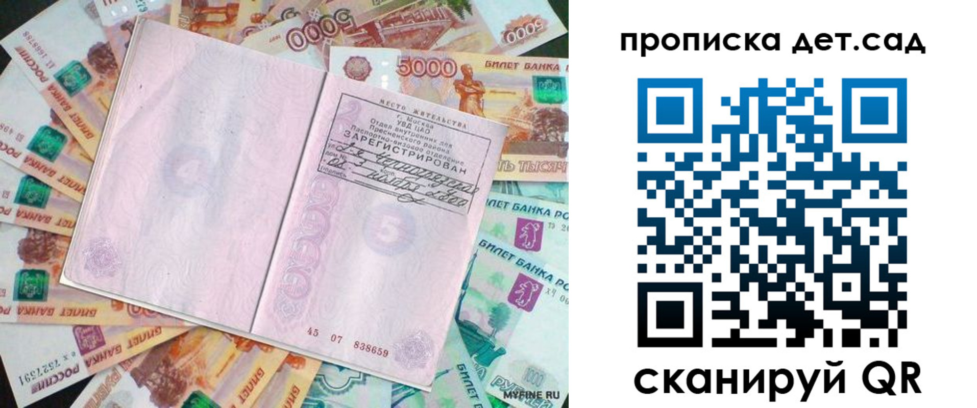 прописка поиск в Коле
